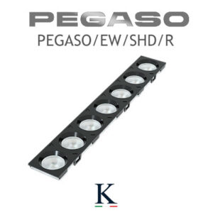 PEGASO/EW/SHD/R