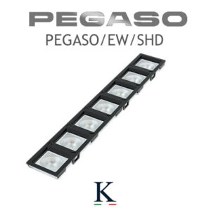 PEGASO/EW/SHD