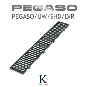 PEGASO/UW/SHD/LVR
