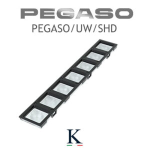 PEGASO/UW/SHD