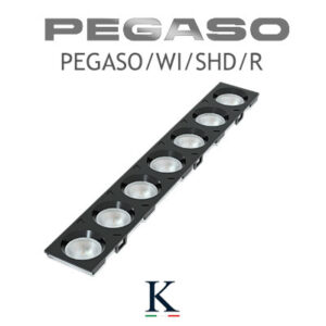PEGASO/WI/SHD/R