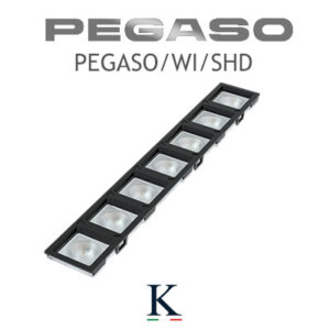 PEGASO/WI/SHD